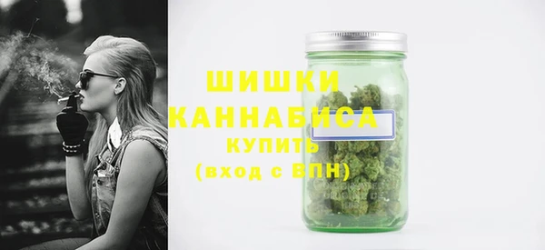 твердый Гвардейск