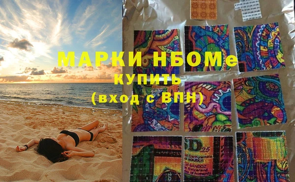 хмурый Гатчина