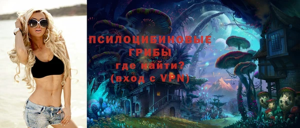 2c-b Зеленодольск