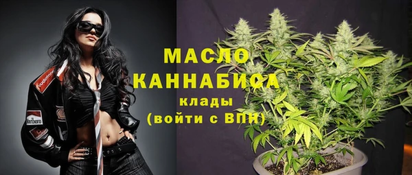 сатива Зерноград