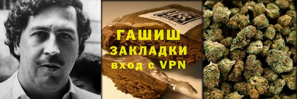 сатива Зерноград