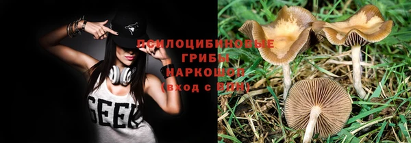 сатива Зерноград