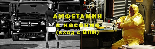 сатива Зерноград