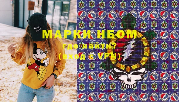 хмурый Гатчина