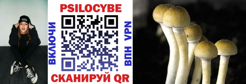 купить наркотик  Заринск  Псилоцибиновые грибы GOLDEN TEACHER 